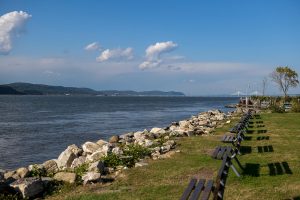 Sawyer Place - Neighborhood