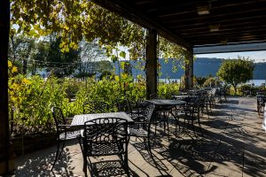 Sawyer Place - Neighborhood