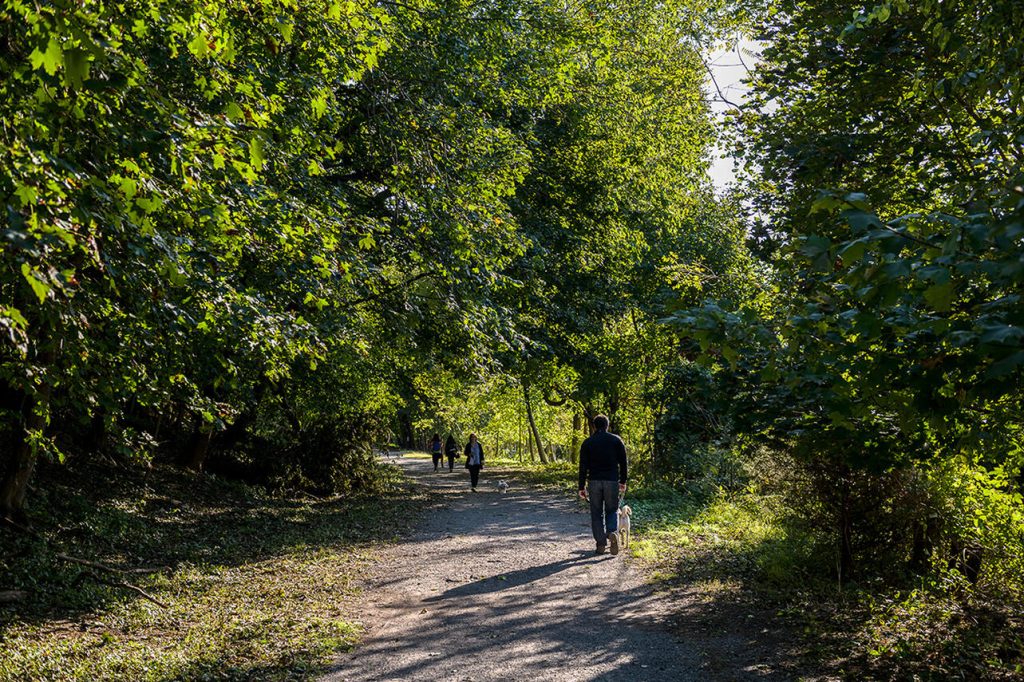 Sawyer Place - Neighborhood