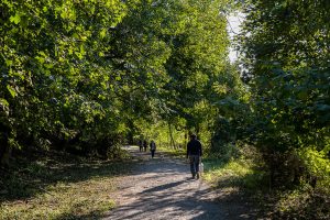 Sawyer Place - Neighborhood
