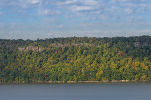 Sawyer Place - Neighborhood